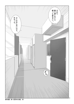 Page 47 of Natsu no Gikou Ch.1 "Ane x Otouto Hen"