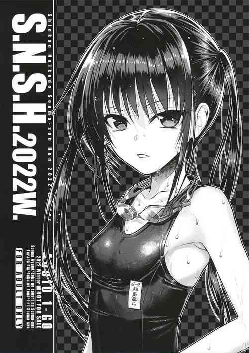 Download S.N.S.H2022W.