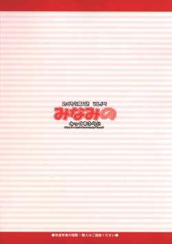 Page 26 of Minami no