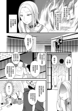 Page 5 of Nikubenki Papa Elf