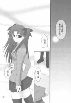 Page 27 of (Mimiket 10) [HAPPY WATER (Kizaki Yuuri)] -True night- (Fate/stay night)