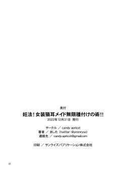 Page 22 of Ninpou! Josou Nekomimi Maid Mugen Tanetsuke no Jutsu!!