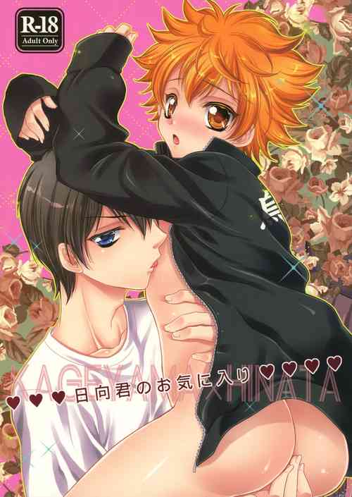 Download Hinata-kun no Okiniiri