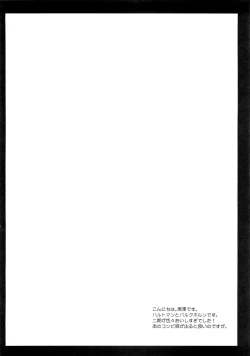 Page 3 of Hartmann to Barkhorn no Yoru | 哈特曼与巴克霍隆之夜