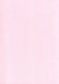 Page 2 of FGO Dosukebe Reisou Hon