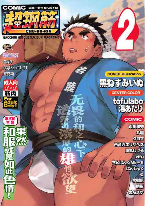 Download CHOGOKIN-002