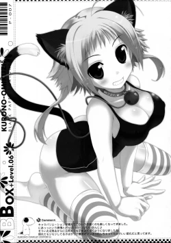 Page 5 of BBOX-Level.06