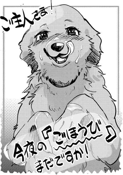 Download Goshujin-sama! Konya no "Gohoubi" Mada desu ka!