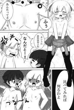Page 12 of Mitsubaisha
