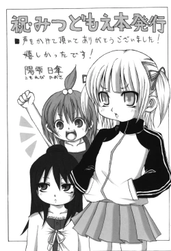 Page 22 of Mitsubaisha