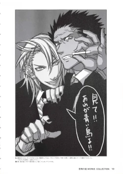 Page 14 of Togainu no Chi Works Collection