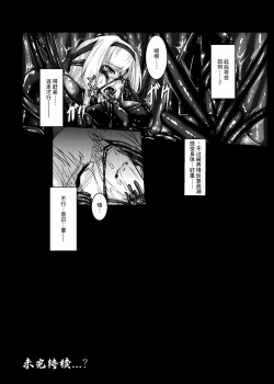 Page 25 of Plant 2~4