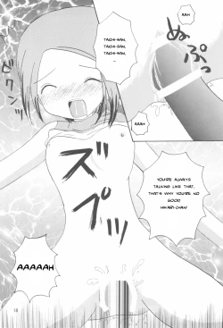 Page 17 of Hikari Mania