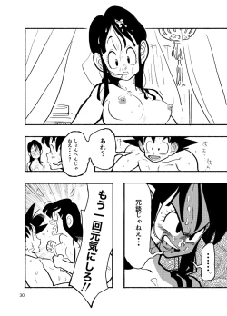 Page 28 of Dragon Ball Fanbook GokuxChihci