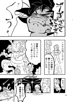Page 33 of Dragon Ball Fanbook GokuxChihci