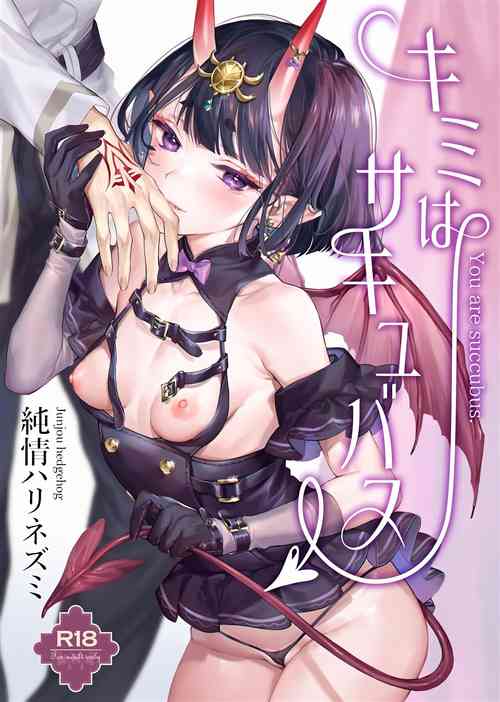 Download Kimi wa Succubus