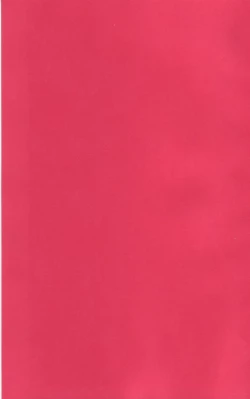 Page 4 of ちっちゃな招待所♪