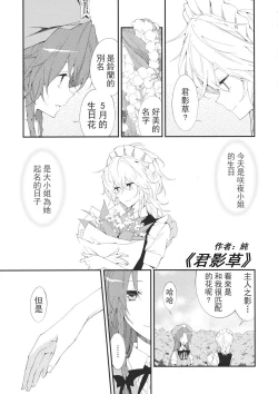 Page 55 of Touhou Kouginmu 2 | 東方紅銀夢2