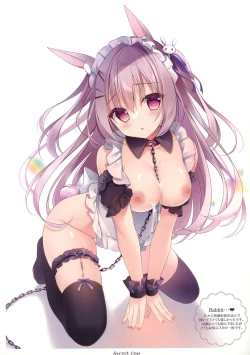 Page 4 of Secret Lop