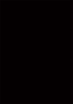 Page 2 of TOKYO Hikari Auction｜东京光之拍卖会