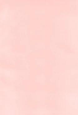 Page 4 of Netsuai Days