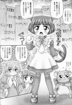 Page 5 of Maicchingu Nyanko Sensei