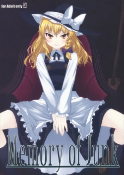 Page 1 of Memory of Junk