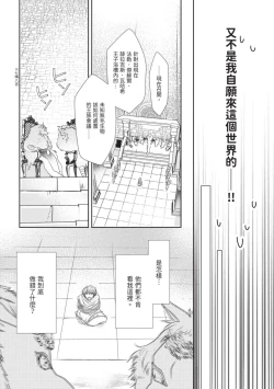 Page 14 of Itoshi no kemukujara | 惹人憐愛的長毛
