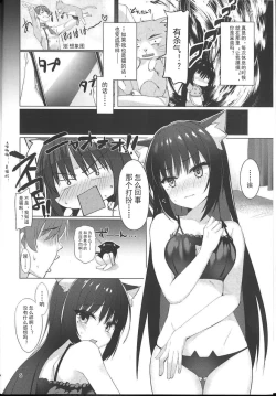 Page 4 of Shiki Natsume wa Amaetai! + Rino to Ecchi Suru Hon. | 四季夏目想要撒娇!
