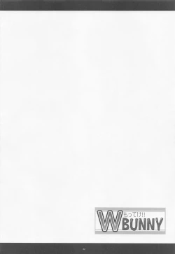 Page 3 of Motteke!! W BUNNY