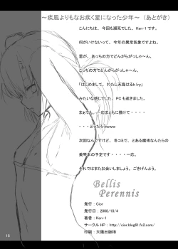 Page 17 of Bellis Perennis