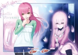 Page 1 of Bellis Perennis