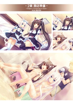Page 21 of NEKOPARA ART WORKS Vol.1