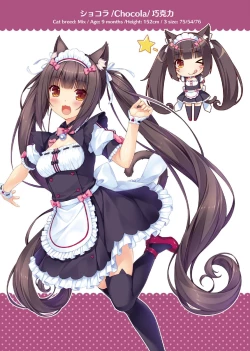 Page 9 of NEKOPARA ART WORKS Vol.2