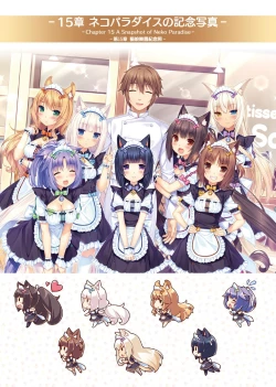 Page 45 of NEKOPARA ART WORKS Vol.3