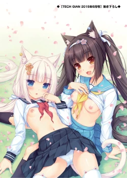 Page 12 of NEKOPARA ART WORKS Vol.0