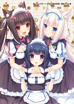 Page 13 of NEKOPARA ART WORKS Vol.0