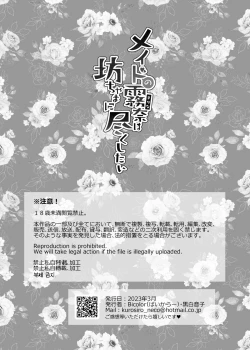 Page 41 of Maid no Kirina wa Bouchama ni Tsukushitai