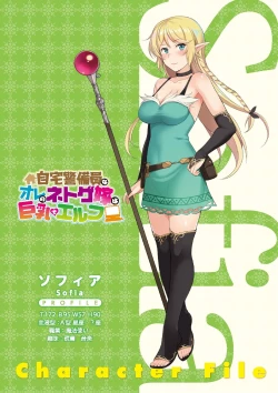 Page 3 of Jitaku Keibiin na Ore no Netoge Yome wa Kyonyuu de Elf Denshiban Tokuten Tsuki