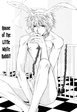 Page 1 of The Rabbit in the House