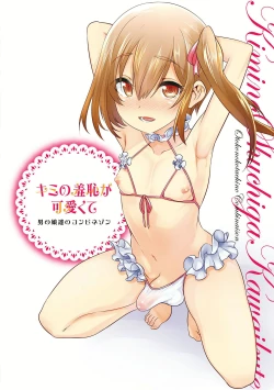 Page 208 of Kimi no Shuuchi ga Kawaikute