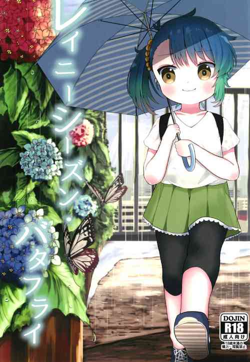 Download Rainy Season Butterfly