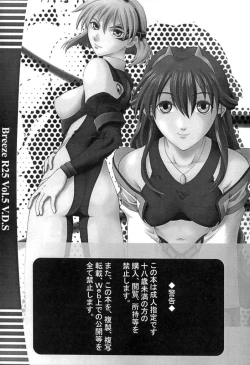 Page 4 of R25 Vol.5 V.D.S