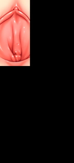 Page 27 of Stop Strip