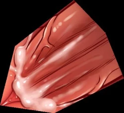 Page 51 of Stop Strip