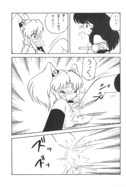 Page 15 of Reisei no Houteishiki