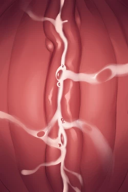 Page 66 of My Favs of ANA.L MK.II