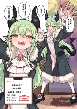 Page 6 of Succubus no Sensei FILE. 04| 魅魔的老师 FILE.04「龙娘魅魔篇」