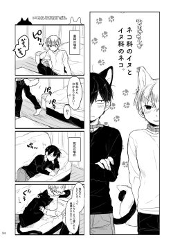 Page 33 of GOOD BOY MY CAT!