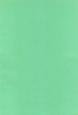 Page 38 of ChaChaCha World